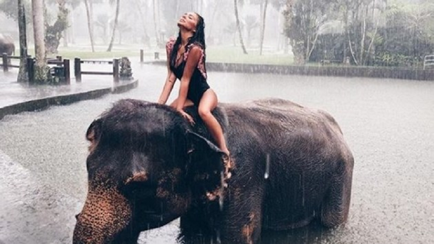 Николета Лозанова се качи на слон по време на престоя